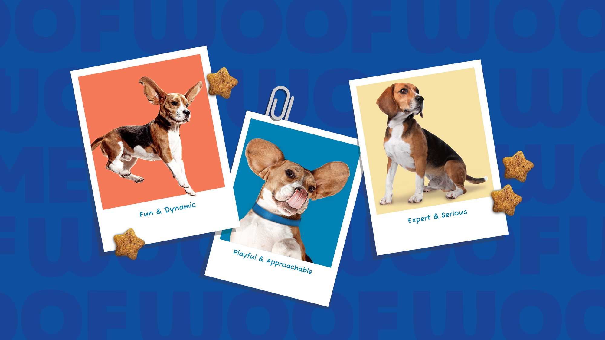 PetStar brand mood board — fun and dynamic, playful and approachable, expert and serious